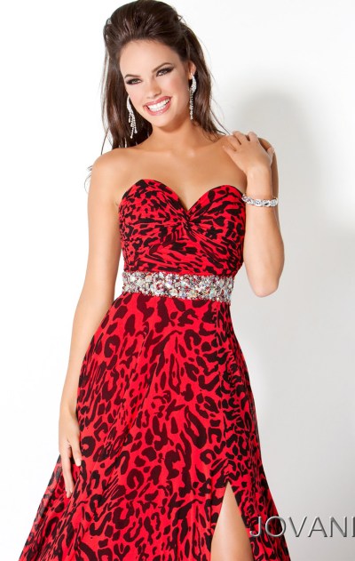 red and black cheetah print dress