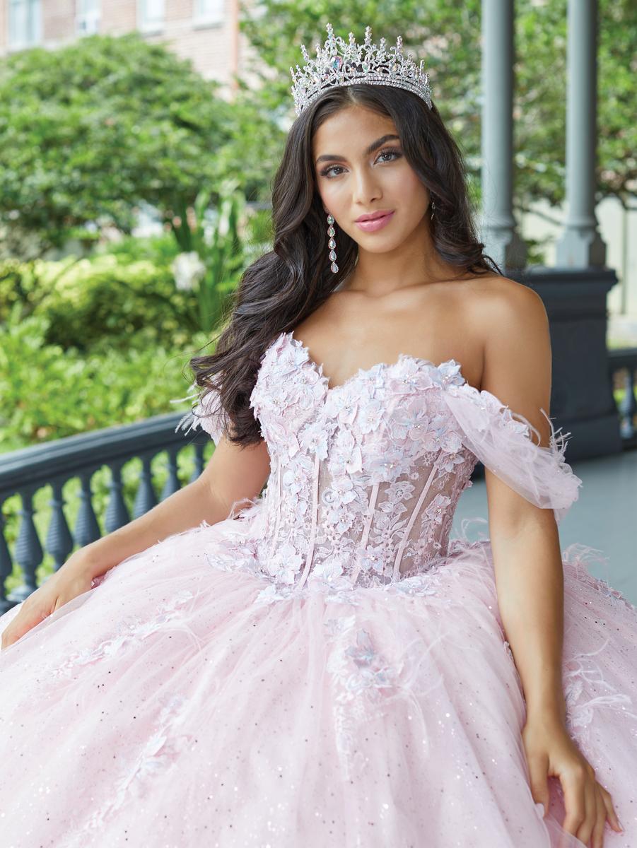 House of Wu 24066 Butterfly Appliques Quinceanera Dress